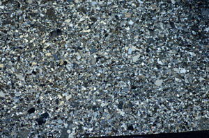 Cross Polarized, S81581