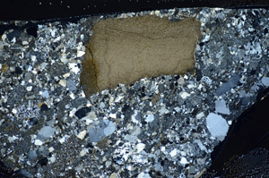 Cross Polarized, S81582