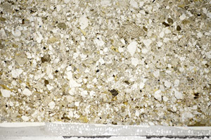 Plane Polarized, S81583