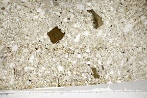 Plane Polarized, S81589