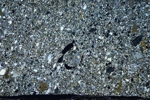 Cross Polarized, S81590