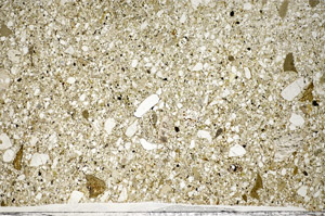 Plane Polarized, S81590