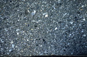 Cross Polarized, S81591