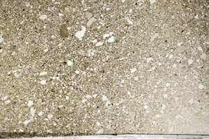 Plane Polarized, S81591