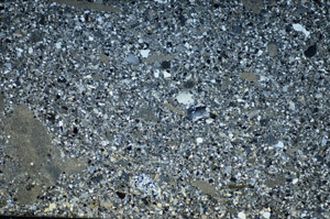 Cross Polarized, S81592