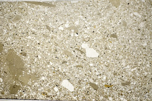 Plane Polarized, S81592