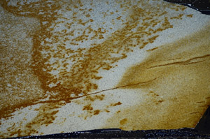 Cross Polarized, S81593