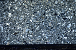 Cross Polarized, S81594