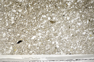 Plane Polarized, S81594