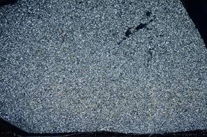 Cross Polarized, S81595