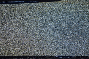 Cross Polarized, S81596