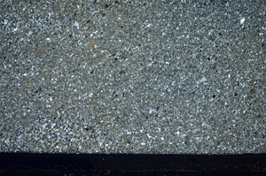 Cross Polarized, S81597