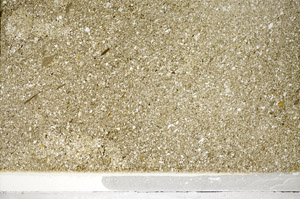 Plane Polarized, S81597