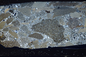 Cross Polarized, S81608