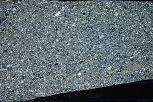 Cross Polarized, S81613