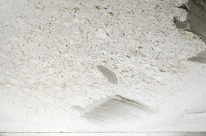 Plane Polarized, S81679/A