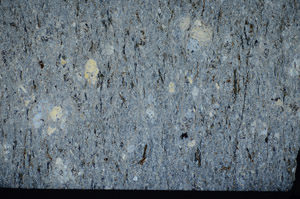 Cross Polarized, S81680