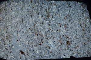 Cross Polarized, S81682