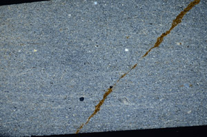 Cross Polarized, S81683