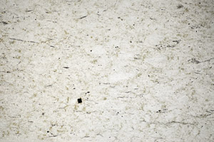 Plane Polarized, S81684
