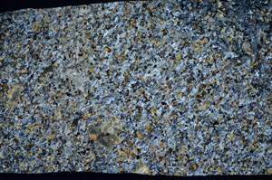 Cross Polarized, S81694