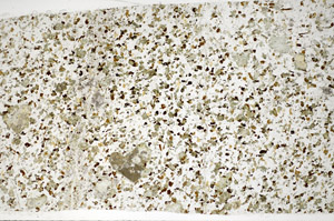 Plane Polarized, S81694