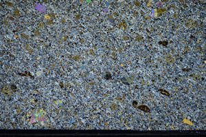Cross Polarized, S81695