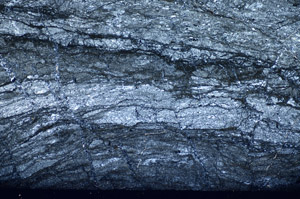 Cross Polarized, S81732