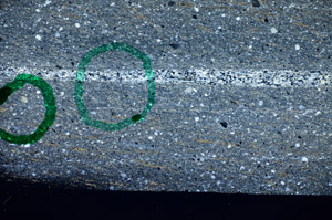 Cross Polarized, S81733