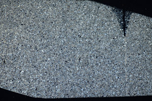 Cross Polarized, S81736
