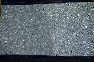 Cross Polarized, S81737