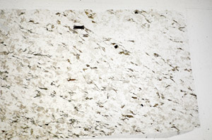 Plane Polarized, S81738