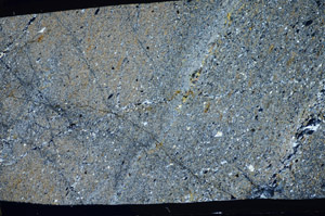 Cross Polarized, S81739