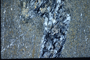 Cross Polarized, S81740