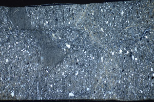 Cross Polarized, S81742