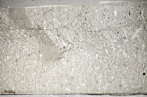 Plane Polarized, S81742