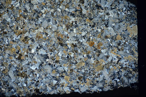 Cross Polarized, S81743