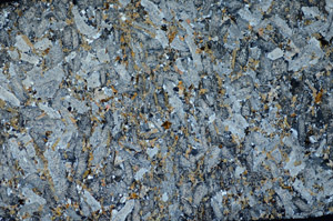 Cross Polarized, S81744