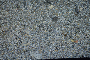 Cross Polarized, S81745