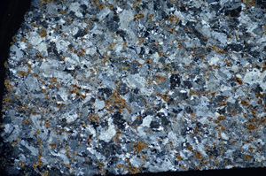 Cross Polarized, S81747