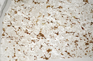 Plane Polarized, S81747