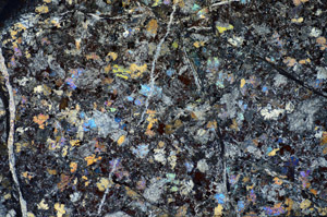 Cross Polarized, S81768