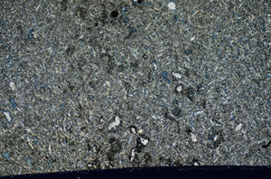 Cross Polarized, S81769