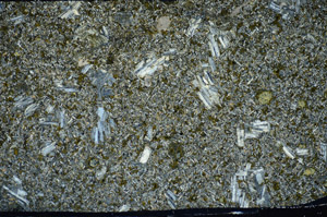 Cross Polarized, S81770