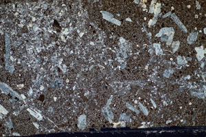 Cross Polarized, S81771