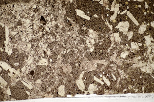 Plane Polarized, S81771