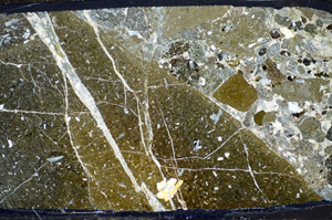 Cross Polarized, S81772