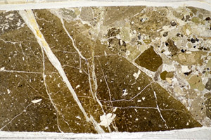 Plane Polarized, S81772