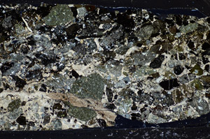 Cross Polarized, S81773