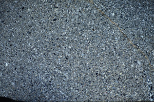 Cross Polarized, S81776